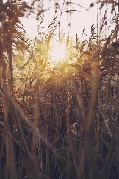 Product ad example 2