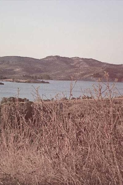 Product ad example 5