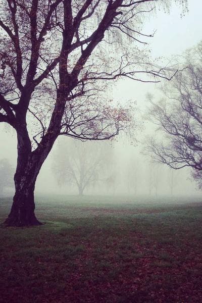 Product ad example 6